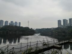 -重庆彩云湖湿地公园