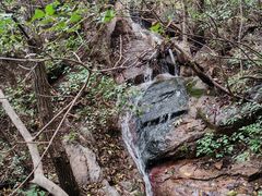 -大岭沟猕猴桃谷风景区