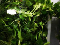 -黔府豆米火锅野菜馆(南马店)