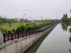 -上海长兴岛郊野公园