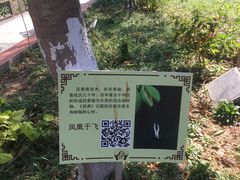 -广州神农草堂中医药博物馆
