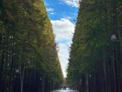 -日照海滨国家森林公园