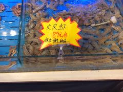 水产区-必点海鲜·鲅鱼水饺(鞍山西道店)