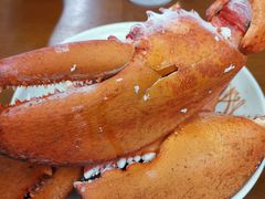 -强记龙虾钳(定安里店)