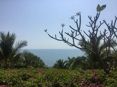 -日落吧·海景咖啡厅·餐酒吧·鸡尾酒·下午茶·乐队表演·浪漫夕阳·三亚文华东方酒店