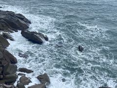 -广东惠东海龟国家级自然保护区