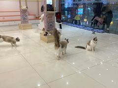 -万达广场(南京江宁店)