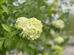 -上海辰山植物园