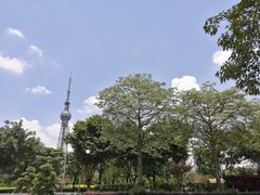 -文华公园(禅城区)