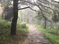 -北京鹫峰国家森林公园