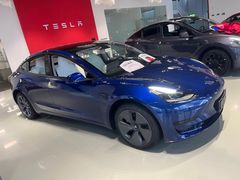 -TESLA 特斯拉(深圳观澜特斯拉直营钣喷中心)