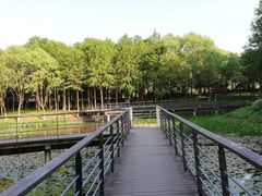 -尚贤河湿地