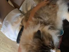 -白兔子密室(长寿路店)