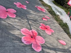 -高东镇樱花园