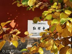 -红螺寺