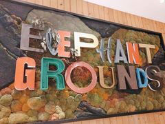 -Elephant Grounds(STARSTREET)