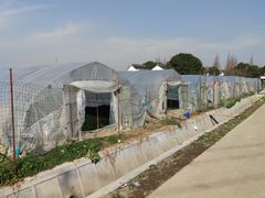 -小鱼草莓采摘园农家乐·小鱼餐厅