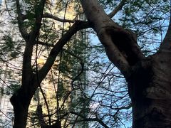 -荔香公园