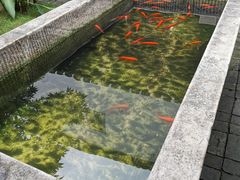 -不倒翁·徽天下名菜楼(马鞍山路店)