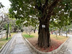-黄埔古港