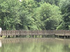 -桤木河湿地公园