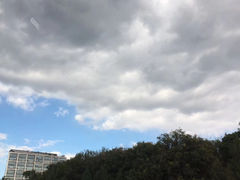 -王四营海鲜市场