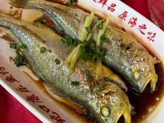 -蛇口康乐快餐鱼仔档(翠苑小区店)