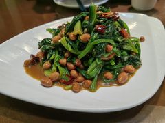 -纯肴大东北(新城北街店)