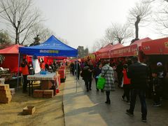 -秀丽东方