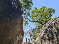 -火炉山森林公园