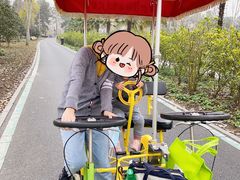 -合肥滨湖国家森林公园