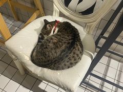 -ID.PHOTO照相馆(嘉里企业中心店)