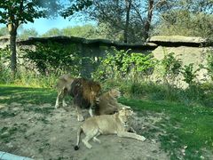 -北京野生动物园