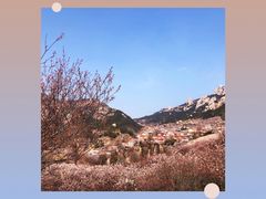 -崂山九水游览区