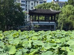 -范蠡湖公园