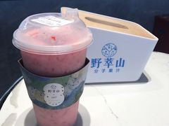-野萃山·潮汕厚果汁(十亩地店)