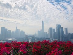 -荔枝公园-小平画像广场