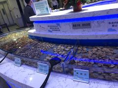 -澜悦港海鲜体验主题餐厅