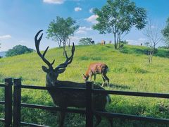 -良渚古城遗址公园