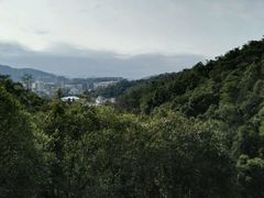 -广东温泉宾馆