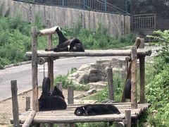 -大连森林动物园