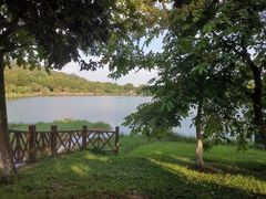 -番禺大夫山森林公园
