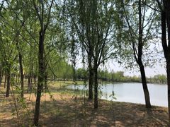 -东郊湿地公园