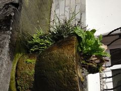 -古韵餐厅(湖畔大学店)