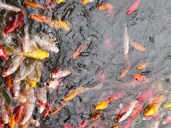 -泰安地下龙宫景区