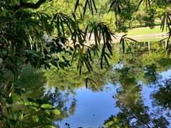 -广西壮族自治区药用植物园