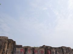 -合肥野生动物园