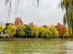 -运河游船(武林门码头)