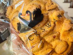 布雷尼-BLACKSWAN黑天鹅(环球店)