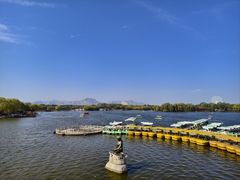 -石家庄市植物园